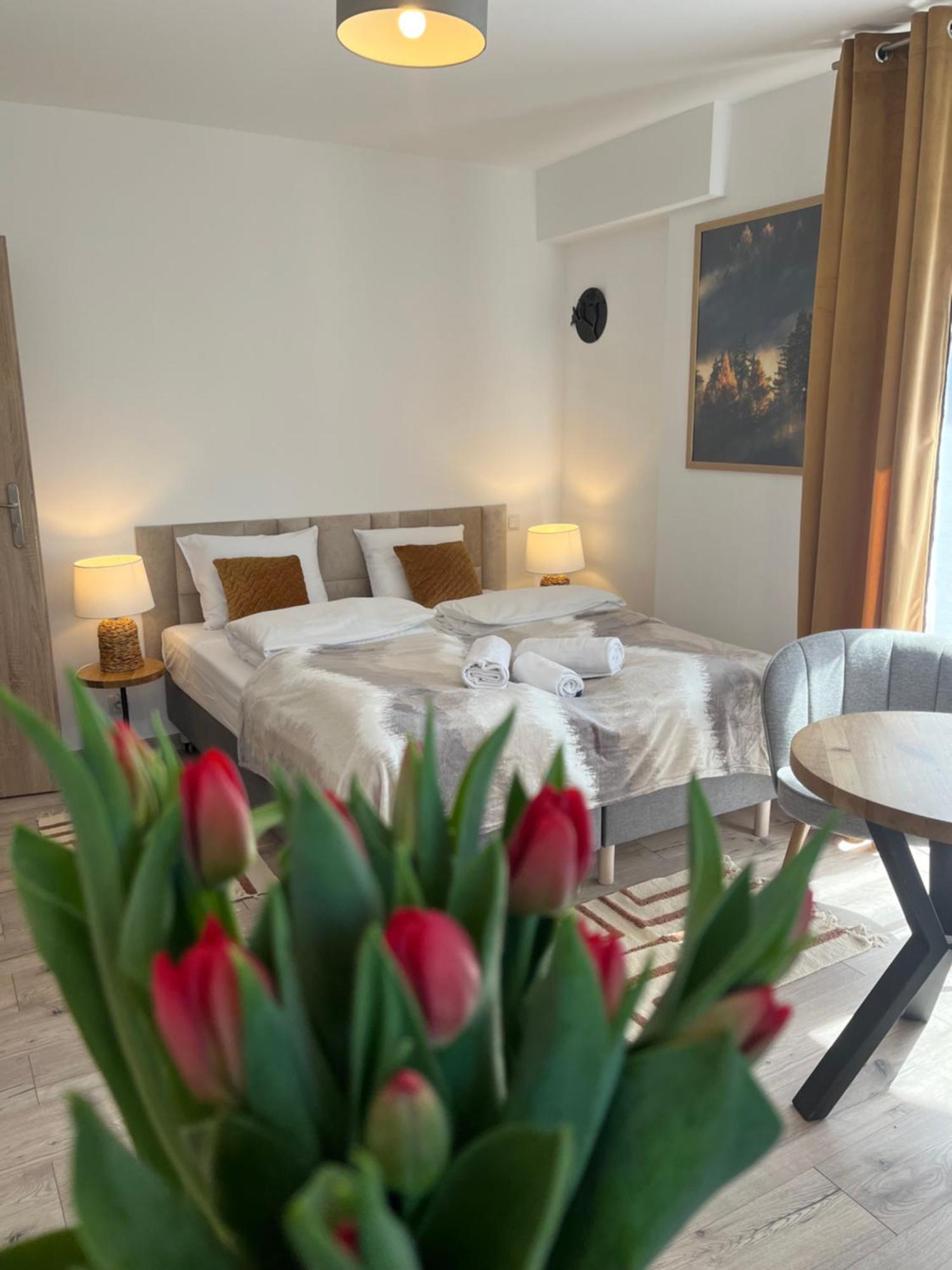 Karkonoskie Widoki Apartamenty Karpacz Kültér fotó