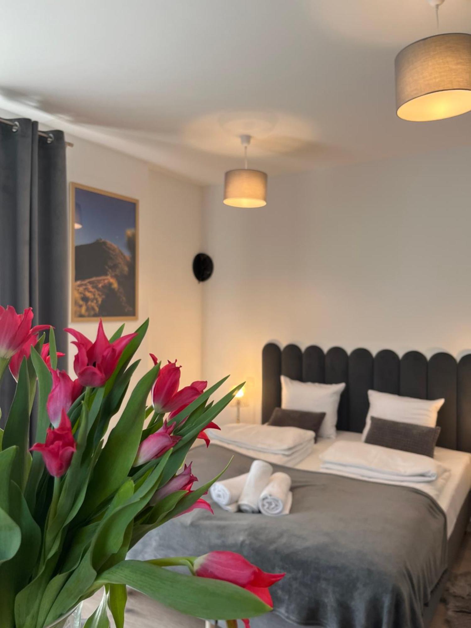 Karkonoskie Widoki Apartamenty Karpacz Kültér fotó