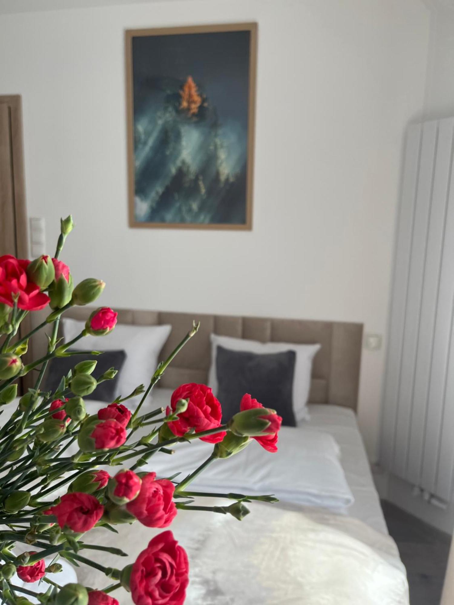 Karkonoskie Widoki Apartamenty Karpacz Kültér fotó