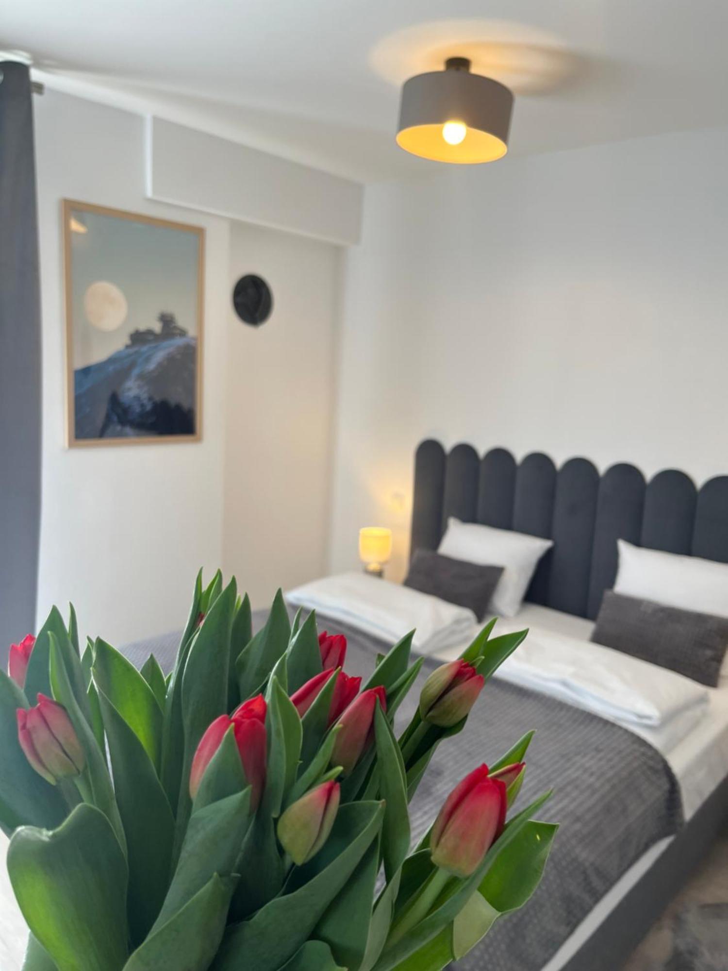 Karkonoskie Widoki Apartamenty Karpacz Kültér fotó