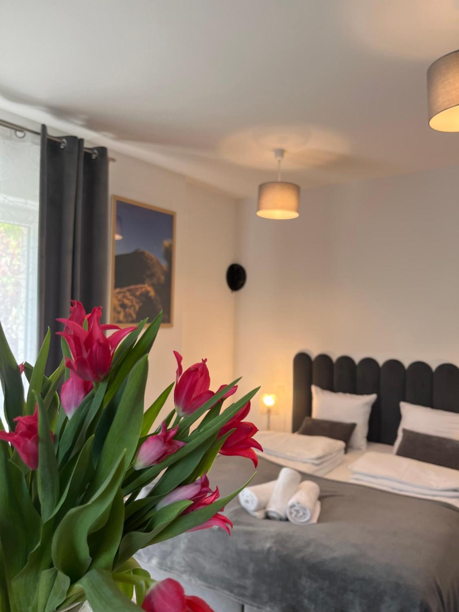 Karkonoskie Widoki Apartamenty Karpacz Kültér fotó