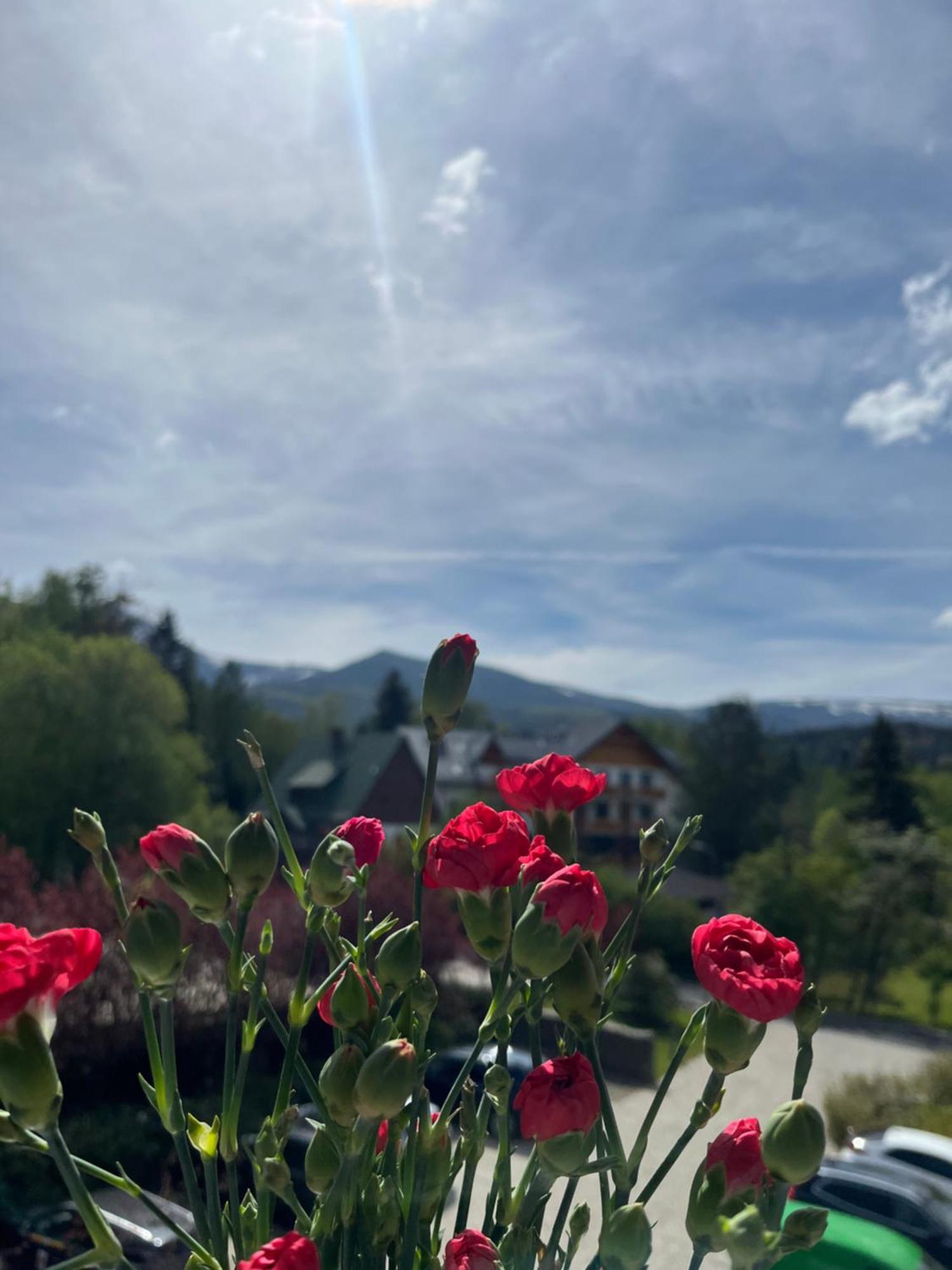 Karkonoskie Widoki Apartamenty Karpacz Kültér fotó
