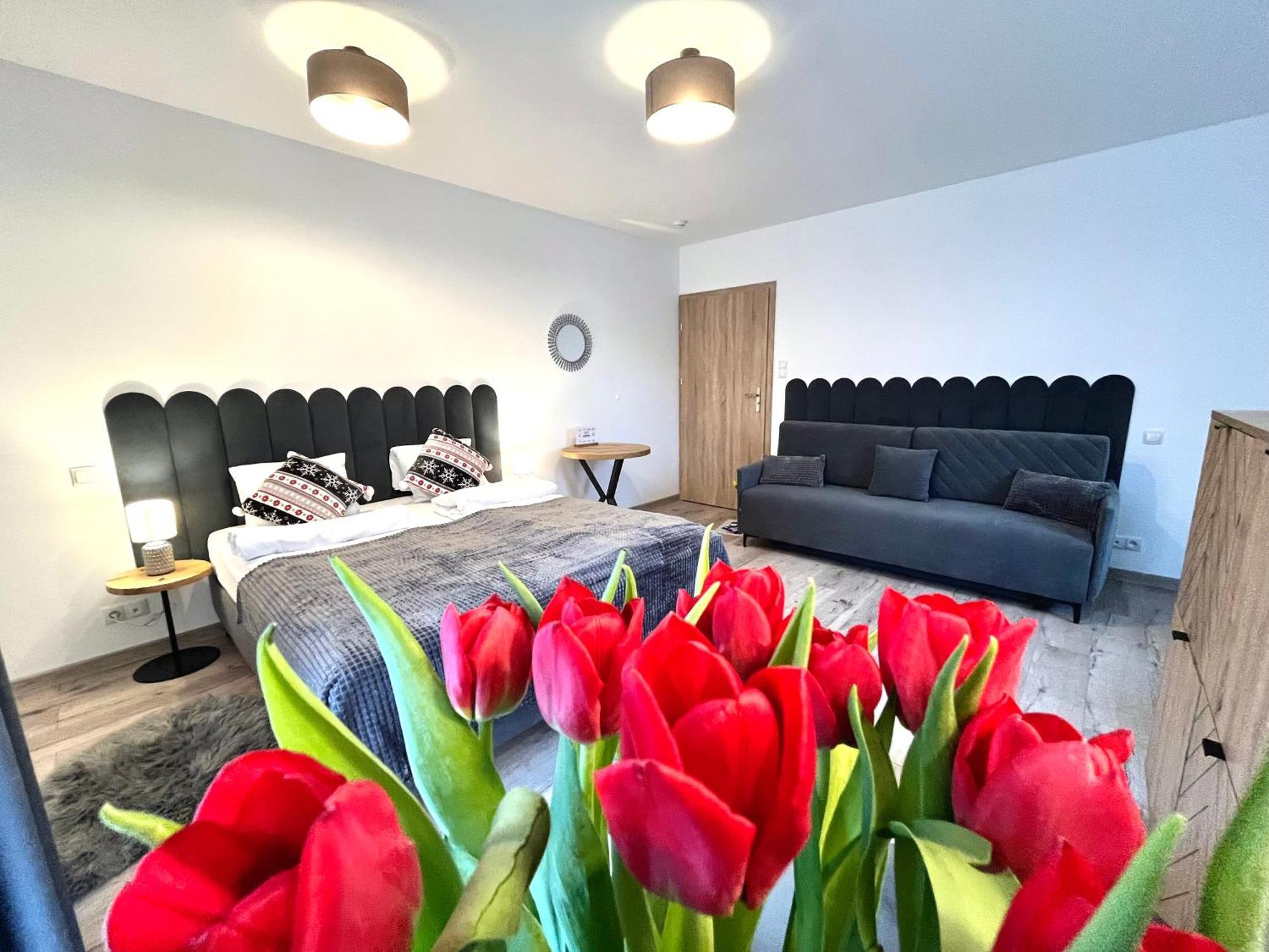 Karkonoskie Widoki Apartamenty Karpacz Kültér fotó