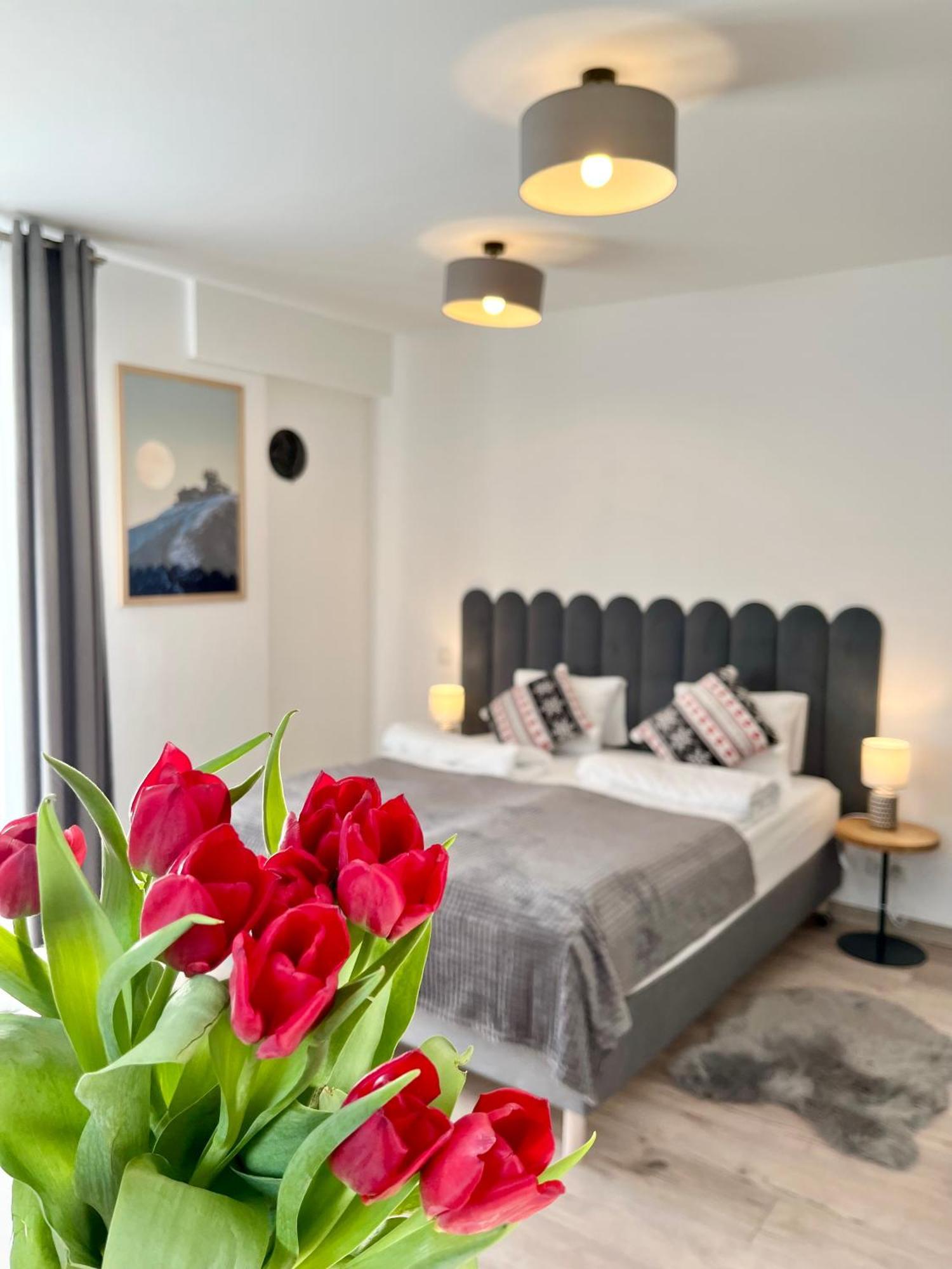 Karkonoskie Widoki Apartamenty Karpacz Kültér fotó